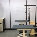 도그마 펫살롱 이미지