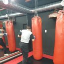 격투피트니스 송파 이미지