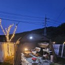 팔조리 | 솔트 바다와 함께한 완벽한 휴식