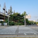 [운동일기] 바디 프로필 D-23~20 / 공복 유산소 / 직장인 식단 도시락 / 스컬앤코 점프게이트 미니독...