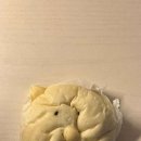 빵의향현 네이버블로그