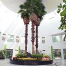 자연생태공원 자연생태박물관 이미지