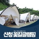 꽃길글램핑