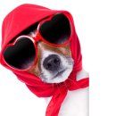 유어홈즈공인중개사사무소 이미지