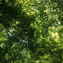 이지스한의원 이미지