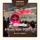 룰루PC방 | Stray Kids World Tour &lt;dominATE : celebrATE&gt; 인천 아시아드 주경기장 관람 후기 &amp; 근처 숙소 추천 🎤