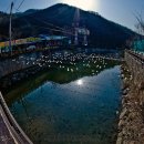 천국은불타고있다 이미지