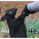 용만농장 이미지