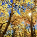 시티번역행정사사무소 이미지