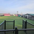 이평우 반려견 교육센터 이미지