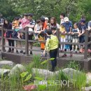 초안산 유아숲체험장 이미지