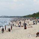 바이항