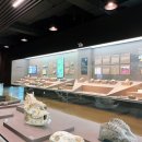 대구박물관 | 대구 달성 화석박물관 후기 | 입장료·주차·도서관·카페까지 완벽 정리! (재방문 후기)