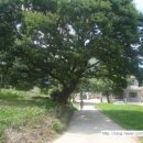 강교2리 이미지