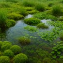 구름위산책 이미지