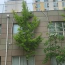 범박휴먼시아 2단지경로당 | [2년 전 오늘] 부천 범박동 범박휴먼시아1단지 관리사무동 2층 삼성 투윈원 에어컨 설치 후기 냉매 가스...