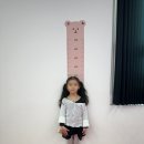 파인트리지엔지