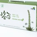항암 뜻 와송 와송즙 효능 먹는법 장점 부작용 이미지