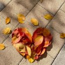 성모제일약국 | 204일 (25.10.15, 10.21) 간호사쌤이 해주시는 골수검사 폐기능검사 서울성모병원 이발소 히크만 실밥뽑기