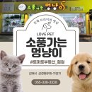 소풍가는멍냥이 - 서구 신갈마로 209-1 | 김해 애견용품샵/김해 저렴한 반려동물 펫샵/소형견 강아지 옷xs/고양이 용품샵/삼정동 소풍가는 멍냥이...
