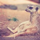 청라루비동물병원 이미지