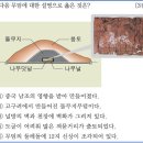 15회 중급 2번 해설(돌무지덧널무덤의 특징) 이미지