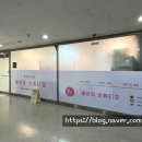 초이스위츠