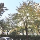 SK행복공인중개사사무소 이미지