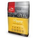 장보는강아지와고양이 신호점 이미지