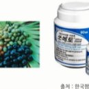 신매약국 이미지