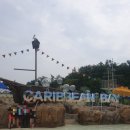 캐리비안베이&amp;에버랜드 평일방문 후기