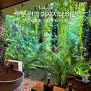 TOP그린 | 발리 우붓 마사지 카르사스파 vs 그린타라스파 장단점 비교, 직접 가보고 선정한 TOP 1