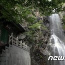 자라섬관광안내소 이미지