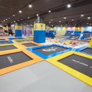 스탈릿 백호 태권도장 이미지