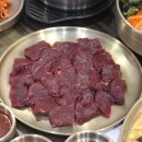 뭉티의 하루 이미지