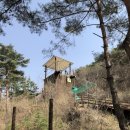 짚와이어체험장 이미지