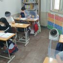 트리 에듀