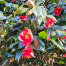 동백호텔 이미지