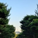 소야원 | 청와대 개방 신청과 관람까지 다녀온 후기