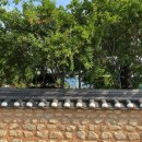 나은애찬 | 요즘일상 08 (여행도가고,잘먹고,영화반도 솔직후기)