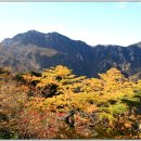금강산