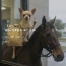 초면에 공주라 부르시네 근데 이 사투리 실제로 자주 씀? 이미지