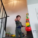 진실이네식당 티스토리