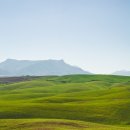 생동목장 이미지