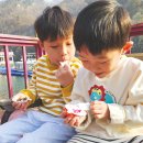 퍼니조이 | [캐릭터 신상품 품평회] 퍼니플럭스, &lt;킨더조이 슈퍼윙스&gt;