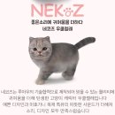 초등우쿨렐레 이미지