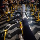 더스피닝 | 스피닝 vs 러닝 뭐가 더 좋을까? 둘 다 해본 리얼 후기