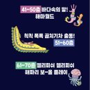 대중집 | 바다 100층짜리집 뮤지컬 후기 성균관대 새천년홀 대중교통 셔틀버스 위치