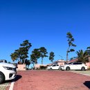 메누하 | 애월 브런치 카페 추천_ ' 메누하 ' 후기