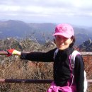 정관장홍삼창포점 이미지